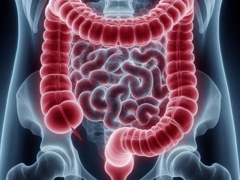 Intestine and Colon Health with Vibe