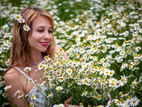 The use of chamomile plants as medicinal alternative