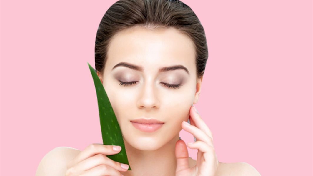 Aloe Vera - History Use and Benefits