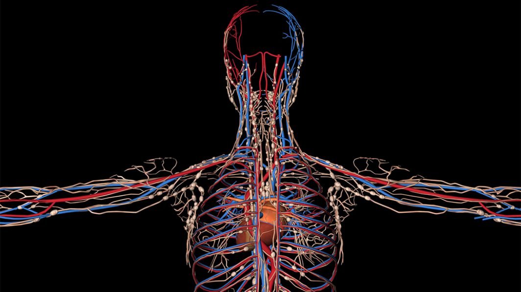 Peripheral Vascular Care: What is the Emerging Opportunity