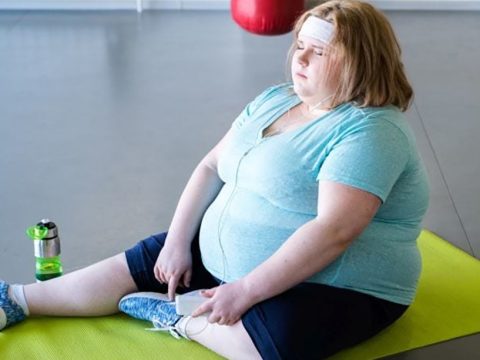 Understand the Science of Obesity And You're On Your Way