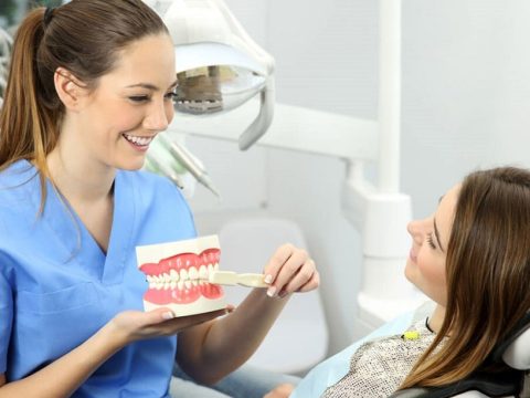 What is the difference between HMO and PPO dental plans?