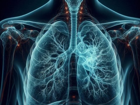 Lungs - The Respiration Necessity